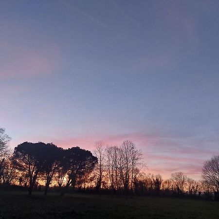 Les Allees Du Chateau Le Mazeau Bagian luar foto